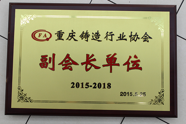 13 重庆铸造行业协会副会长单位01.jpg